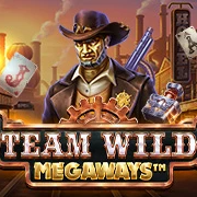 photo slot team wild
